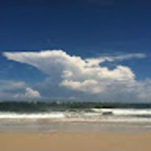 Meet your Posher, Misty